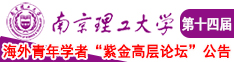 好大啊啊啊啊啊南京理工大学第十四届海外青年学者紫金论坛诚邀海内外英才！
